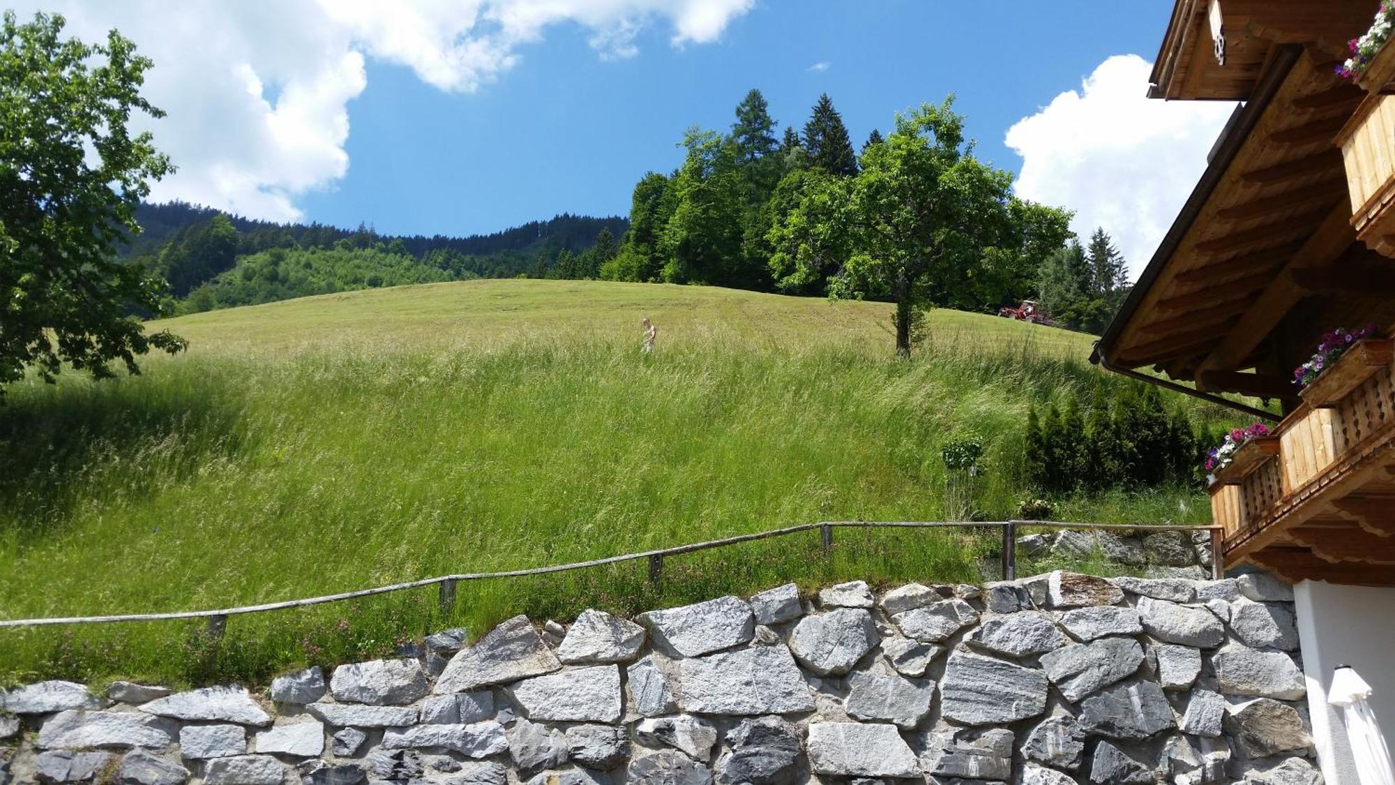 Maison d'hôtes Jausenstation Pfefferbauer